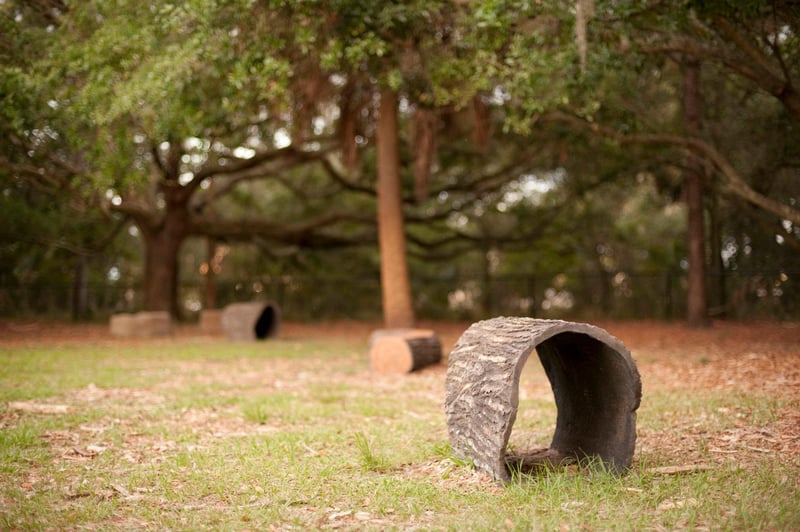 Al Lopez Dog Park preview 8